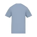 17.webp
